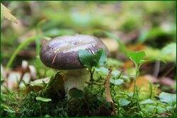 0_c1b1b_1a5d55d0_orig.jpg