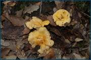 0_d0980_3b033a0e_orig.jpg