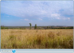 0_f475a_2638cb2f_orig.png