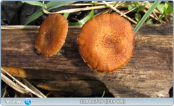 0_e3754_9133c079_orig.png