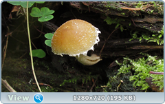 0_ea386_4595c59c_orig.png