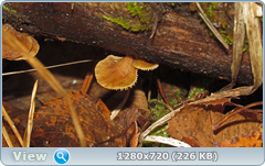 0_f3073_3fb2006e_orig.png