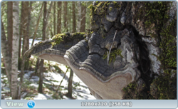 0_fc5dc_76fd797c_orig.png