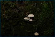 0_d0926_9ee85449_orig.jpg