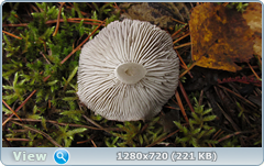 0_f2780_b96dd1fb_orig.png
