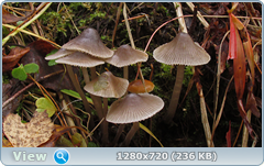 0_f27d8_87216d7a_orig.png