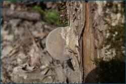 0_ccfc9_cb695968_orig.jpg