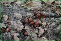 0_c2868_5ef248f4_orig.jpg