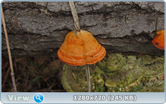 0_f4d85_dc088435_orig.png