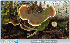 0_e90ec_d8172c84_orig.png