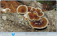 0_eab2f_bc705a25_orig.png