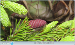 0_e377a_e354d2c3_orig.png