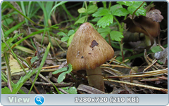 0_e94ba_f0eeddaf_orig.png