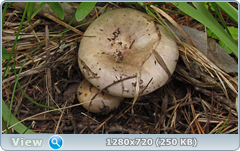 0_eab07_c3947d17_orig.png