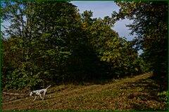 0_c28a0_719126da_orig.jpg
