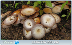 0_e97b4_ab87fa89_orig.png
