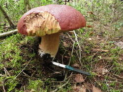 0_9ea12_e4521338_M.jpg