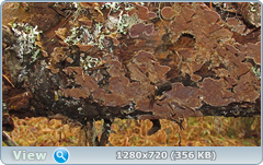 0_f6e12_84379772_orig.png
