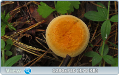 0_eb00f_d8247e1_orig.png