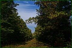 0_c28a2_ee4403f7_orig.jpg