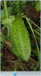 0_e6d34_de1c3697_orig.png