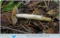 0_ec095_35866f8e_orig.png
