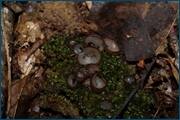 0_d2424_3abdf1db_orig.jpg