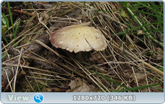 0_e97de_a37c71ec_orig.png