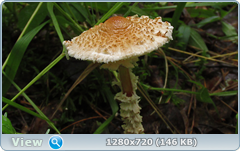 0_ead40_a532e595_orig.png