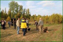 0_c1b69_28d14e02_orig.jpg