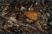 0_d2b12_567f7ff_orig.jpg