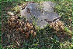 0_c273f_8d5ab988_orig.jpg
