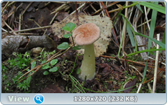 0_e94aa_98200a6d_orig.png