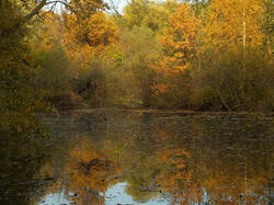 0_c368d_cd60c695_M.jpg