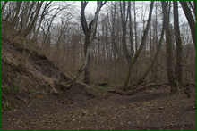 0_e084d_dac299f8_orig.png
