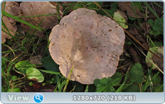 0_fb9d4_7acde092_orig.png