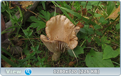 0_fb9d6_cc171cd_orig.png