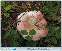 0_fbb60_5cb193cc_orig.png