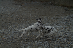 0_df028_1a686be5_orig.png