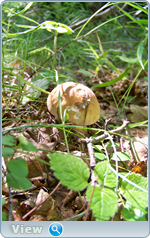 0_102d8a_64c65ae9_orig.png