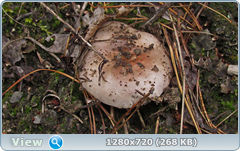 0_fbb3c_217d60a4_orig.png