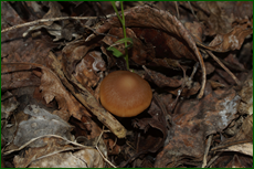 0_e1da4_80b469a8_orig.png