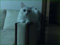 0_1156c9_116d4998_orig.png