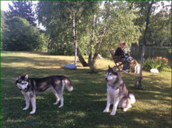 0_1156cb_ec09d456_orig.png