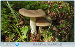 0_fb173_dffb5911_orig.png