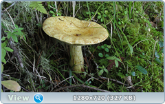 0_fba42_4f7db5c2_orig.png