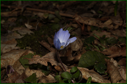 0_e0326_94a850d0_orig.png