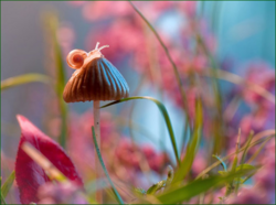 0_106219_fa324e6e_orig.png