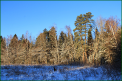 0_1130ca_c495a011_orig.png