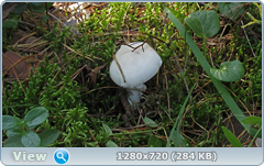 0_fbbcd_8d5859f3_orig.png